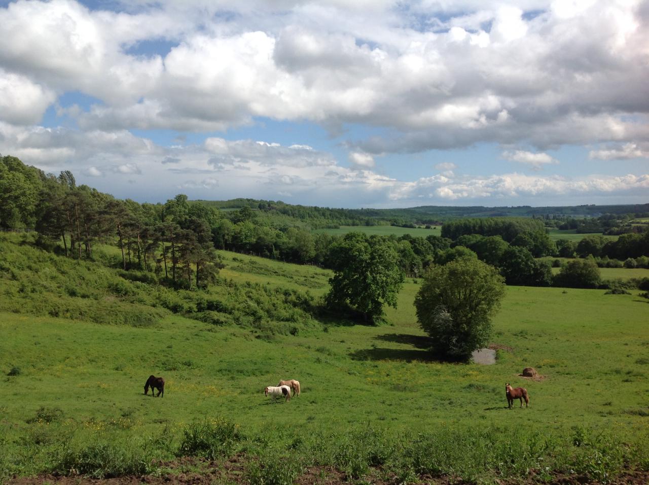 Paysage du Perche