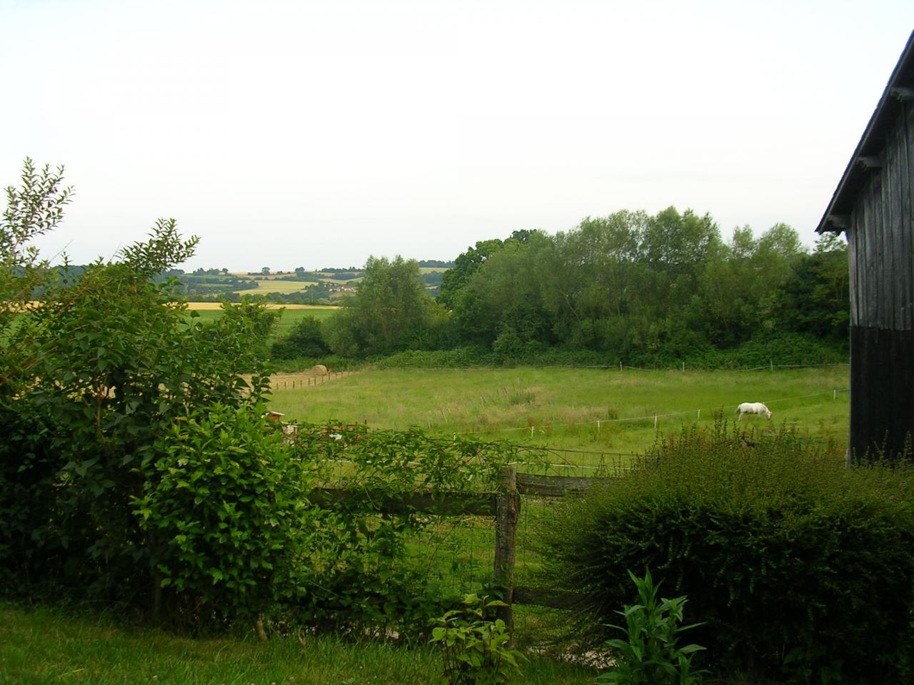 Les chevaux Percherons